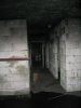 inside the bunker